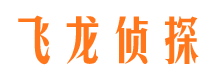 鸡泽市调查公司